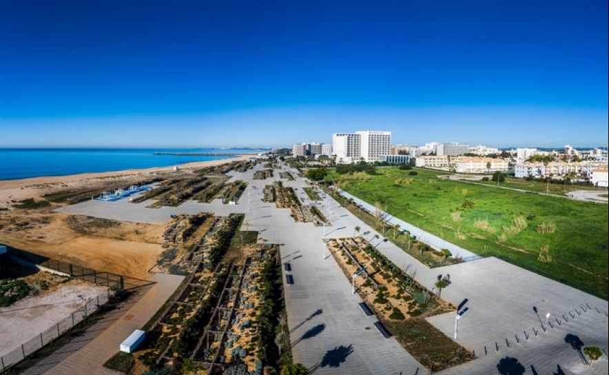 CONii Hostel & Suites