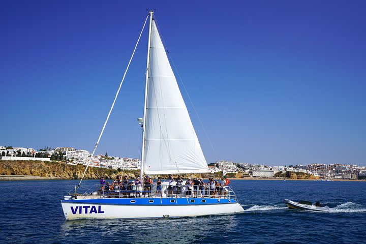 Catamaran Vital 
