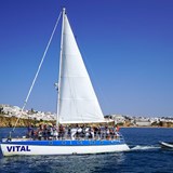 Catamaran Vital 